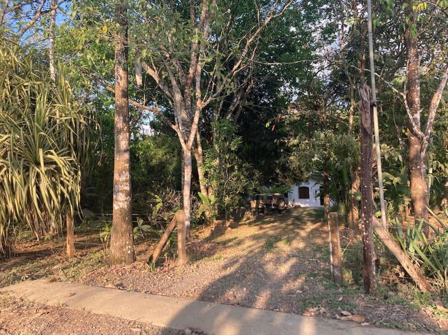 House 400 meters from the Golfo Dulce beach