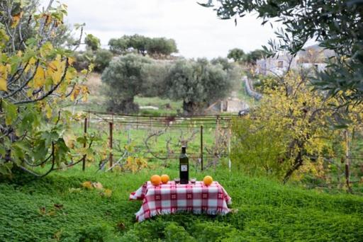 Vineyard Vathis