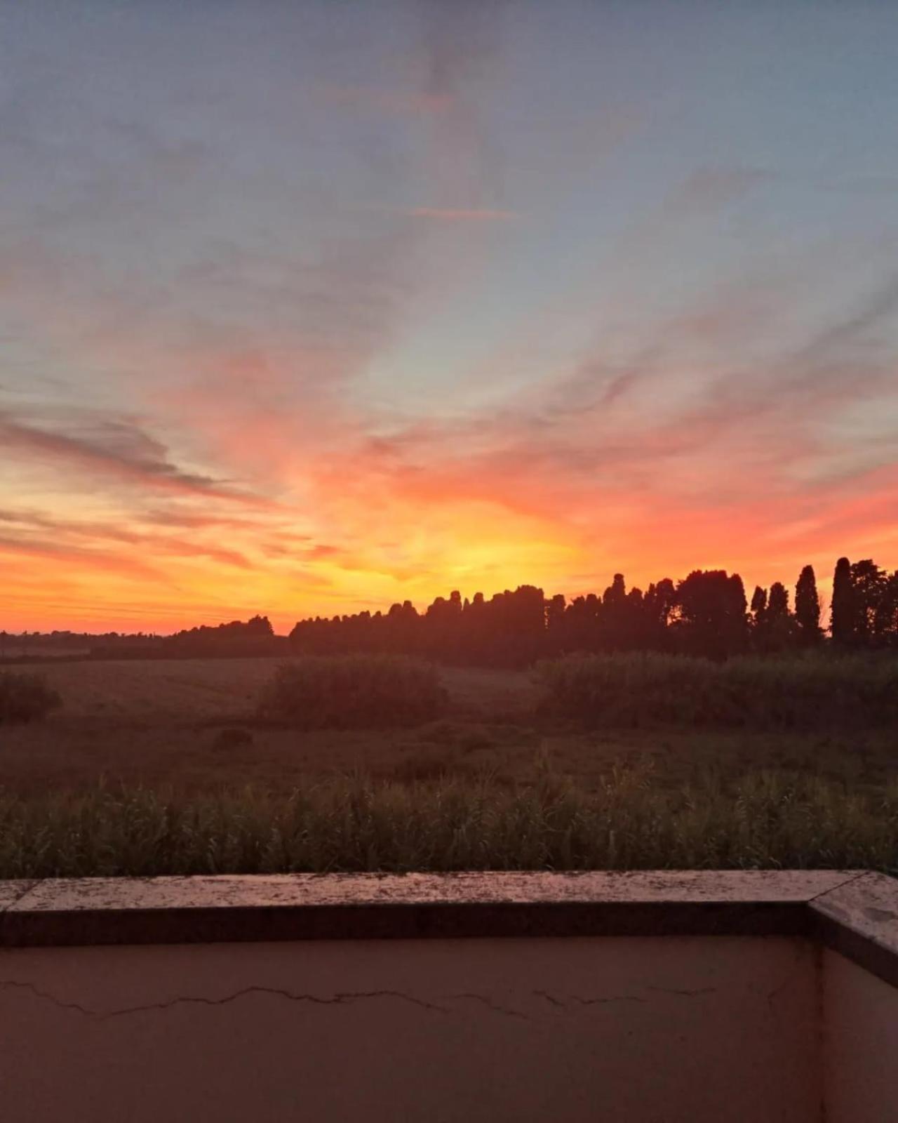 Casa vacanze Rosa Bianca a Vada