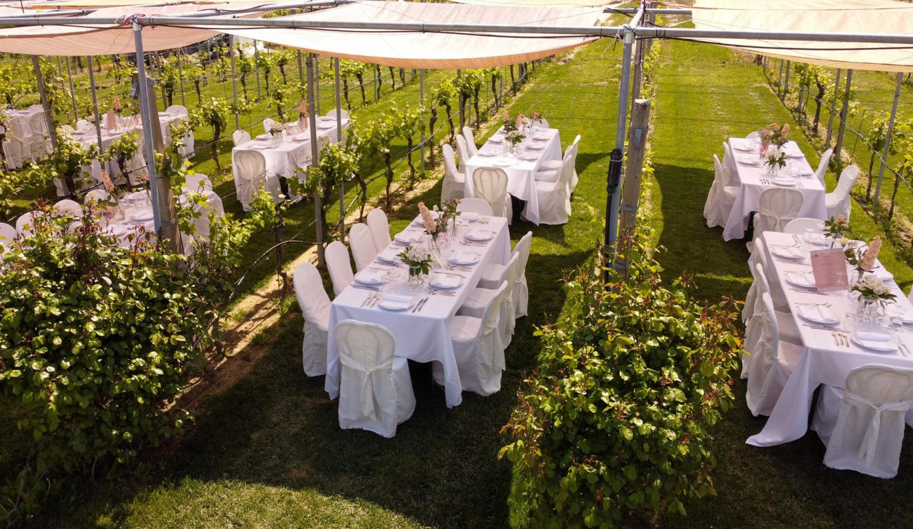 Hotel Podere Riosto Cantina&Agriturismo