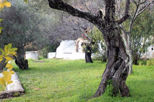 El Retiro de Alajar
