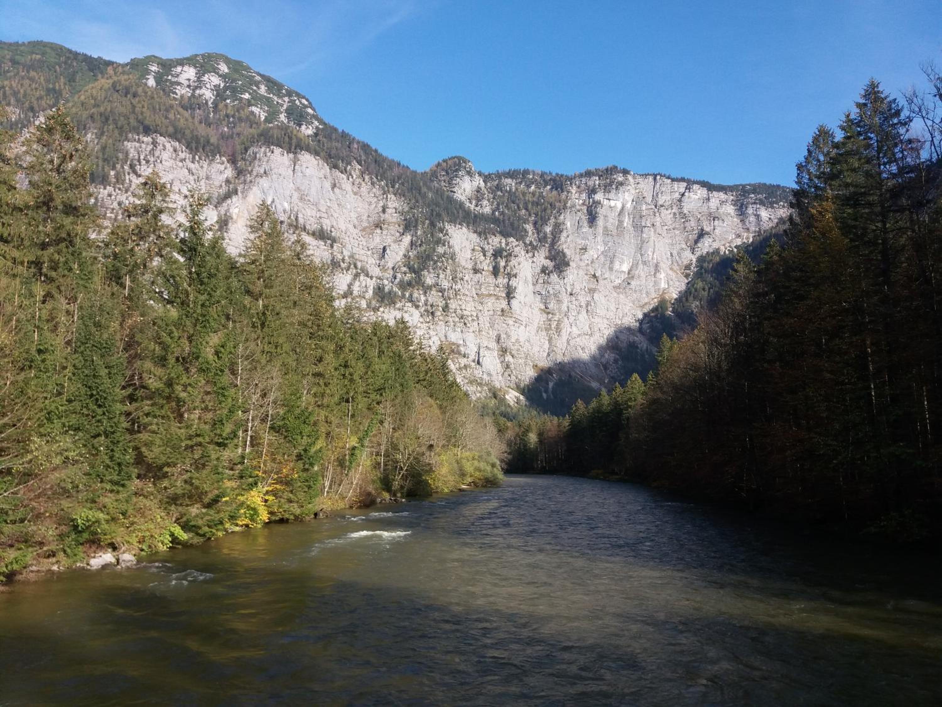 Haus Schatzl Apartments mit Gartenanteil und Bademöglichkeit im Fluss