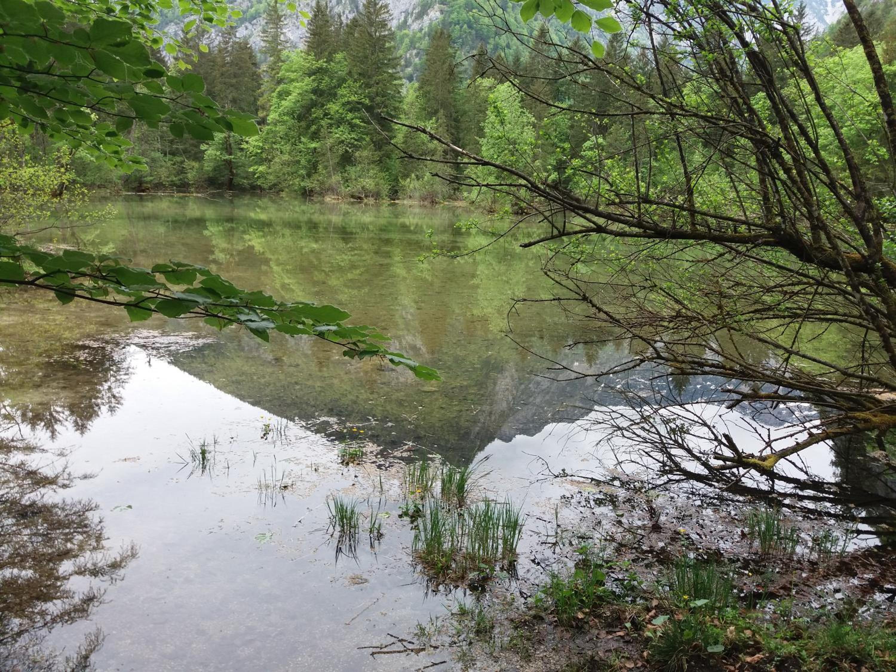 Haus Schatzl Apartments mit Gartenanteil und Bademöglichkeit im Fluss