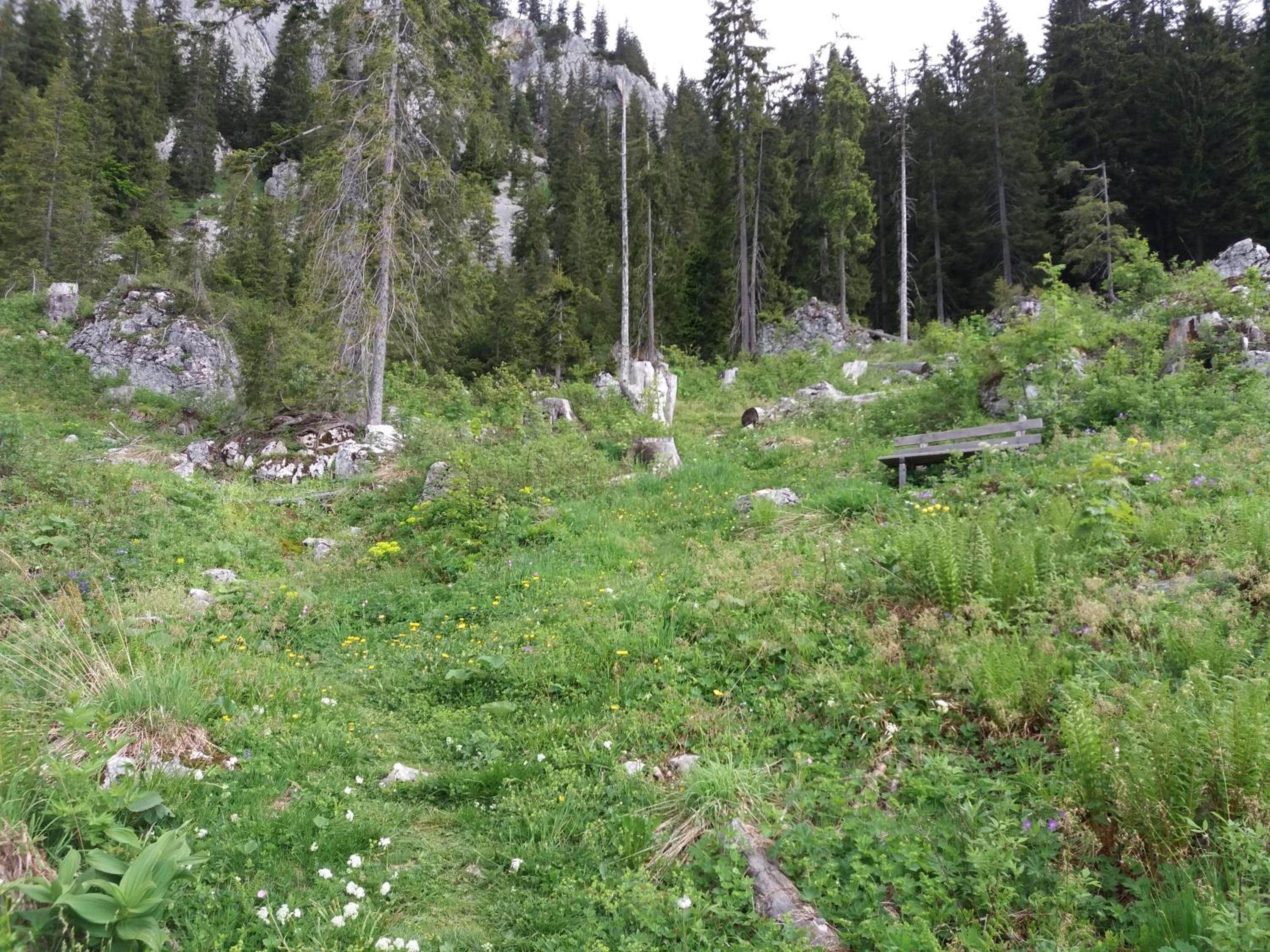 Haus Schatzl Apartments mit Gartenanteil und Bademöglichkeit im Fluss
