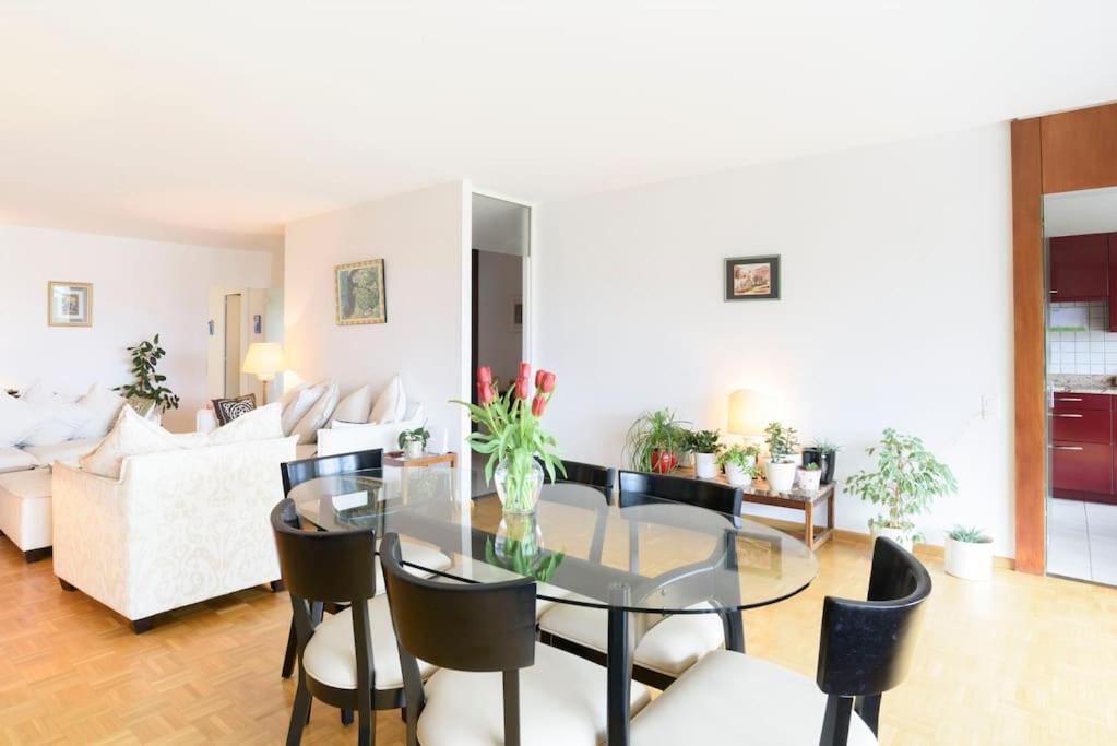 Geneva Vacations - Tourelle 2 - Spacieux appartement dans le centre de Geneve - Property Image 16
