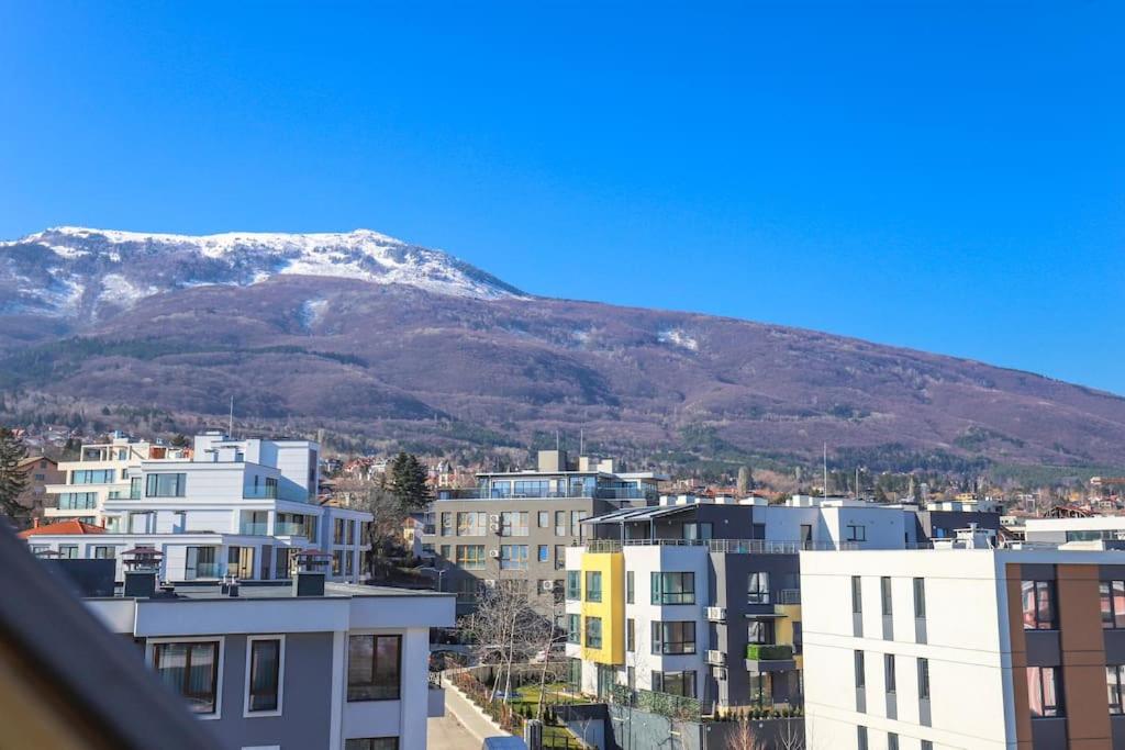 1BDR Apartment Vitosha Mountain