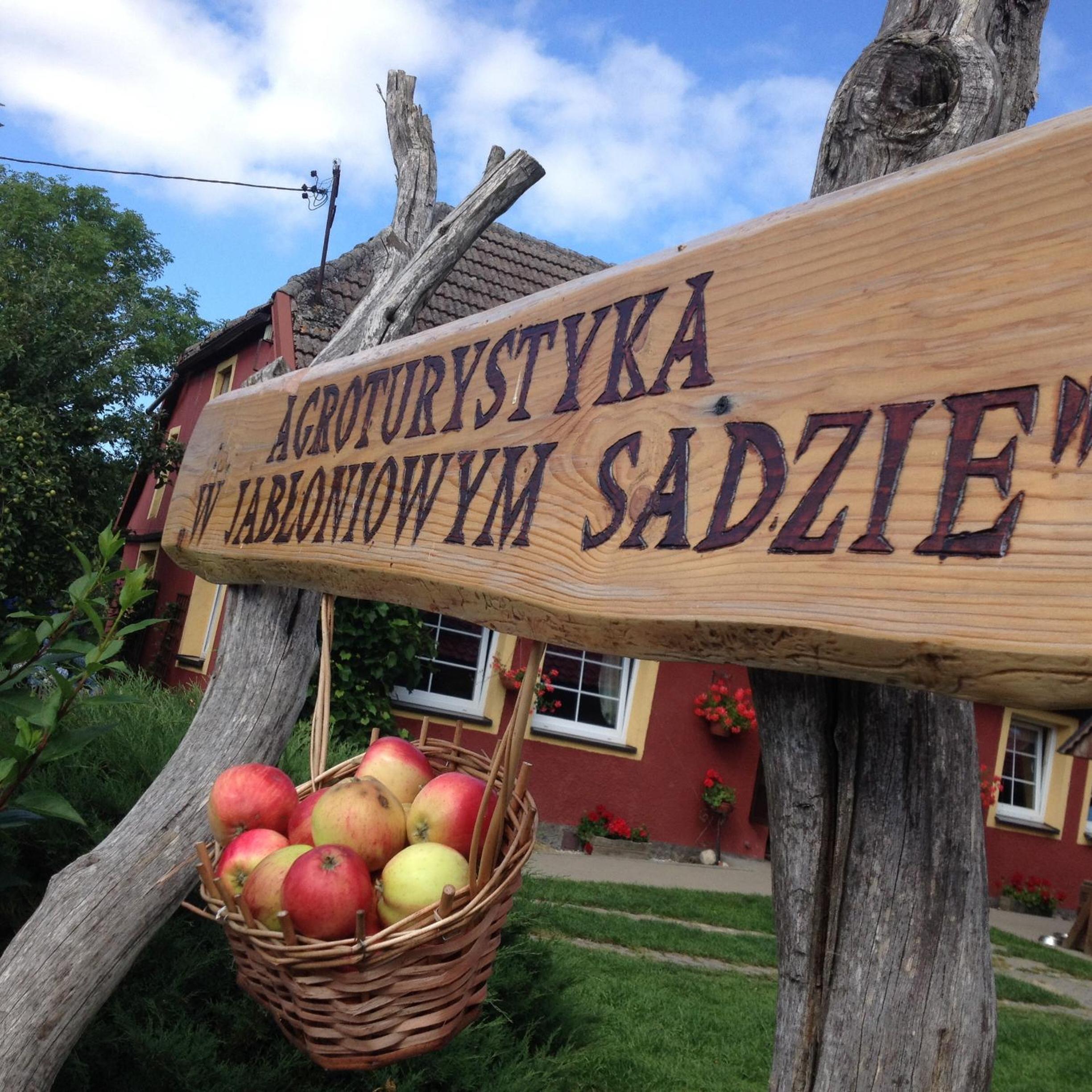 Agroturystyka W Jabłoniowym Sadzie view 2