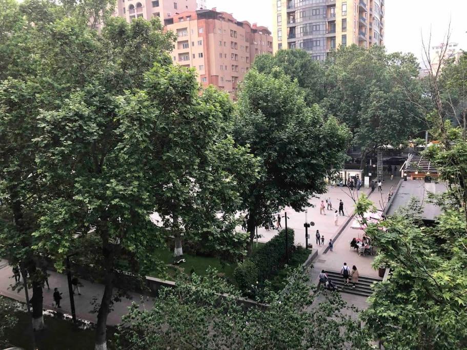 Cosy apartment in the heart of Yerevan