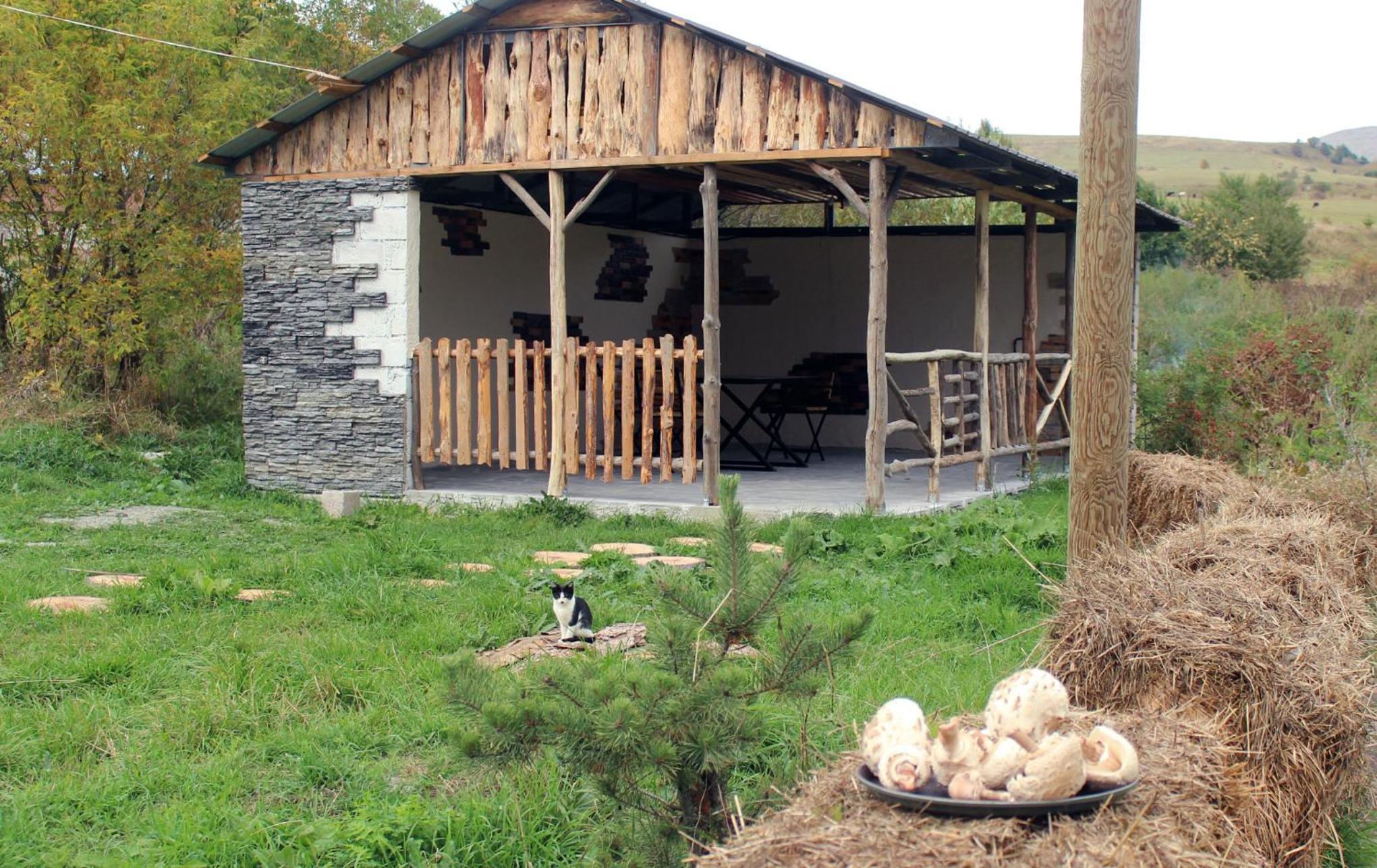 Glamping Eco Valley