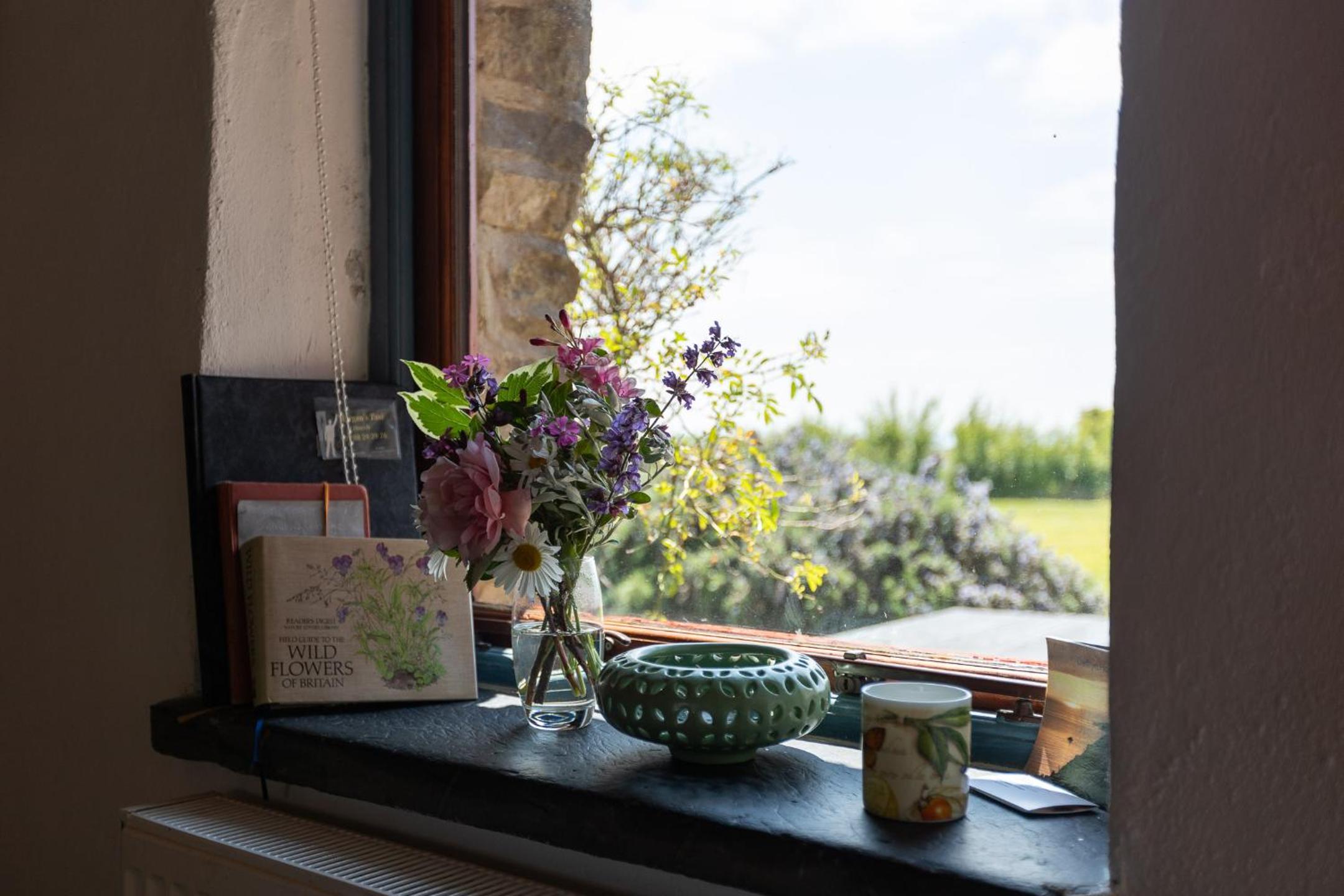Delfryn Holiday Cottages