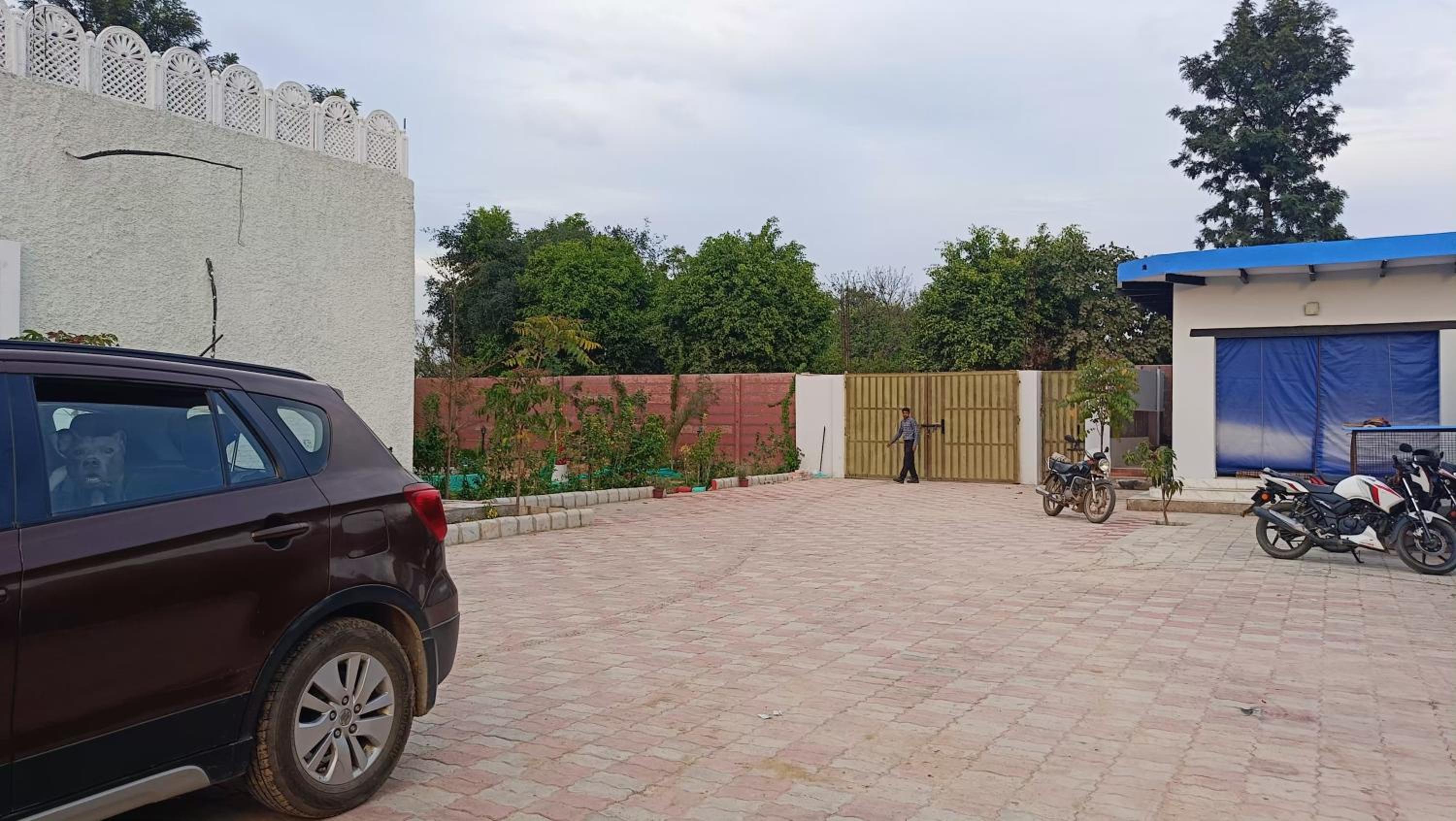 parking