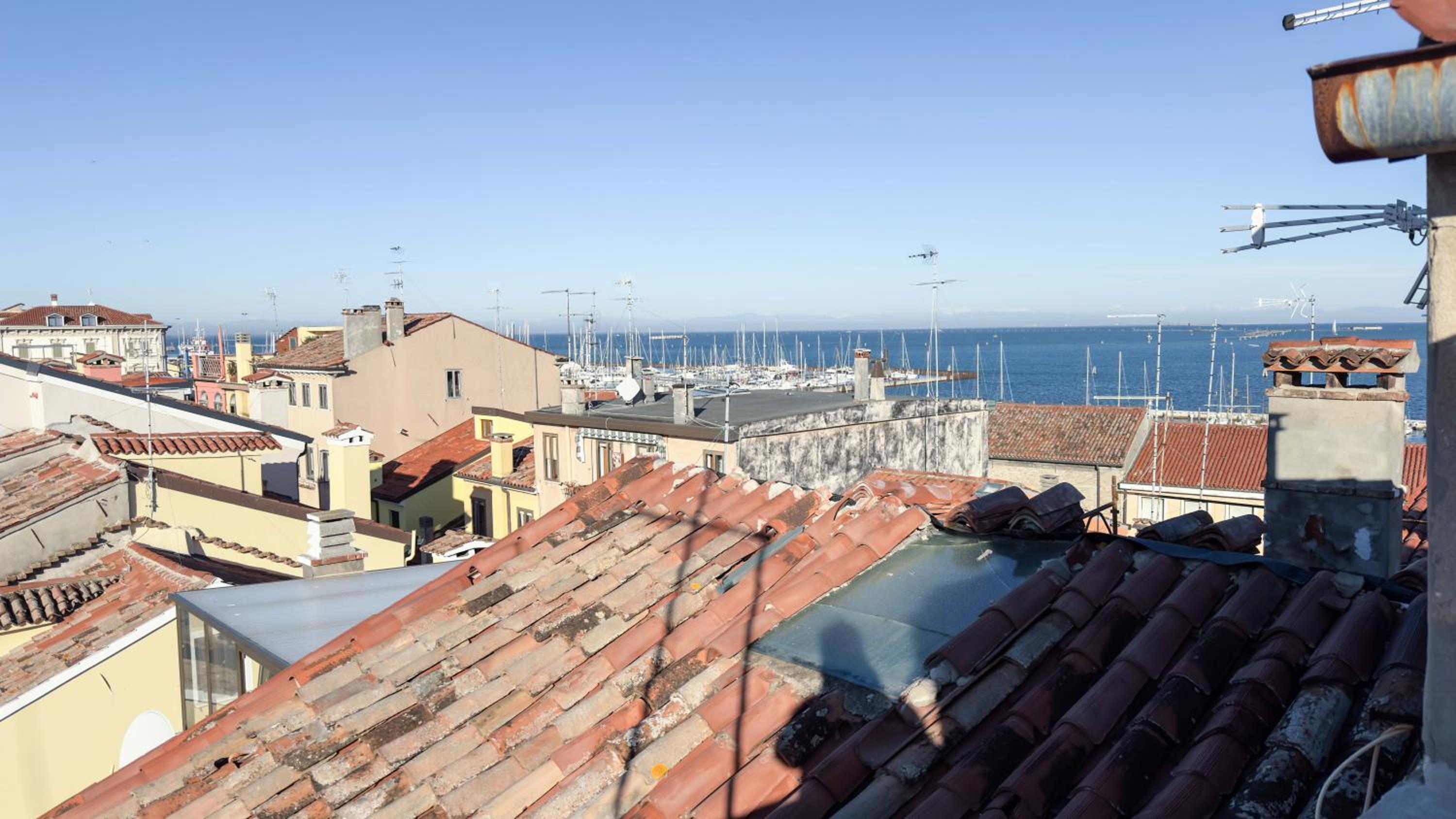 roof