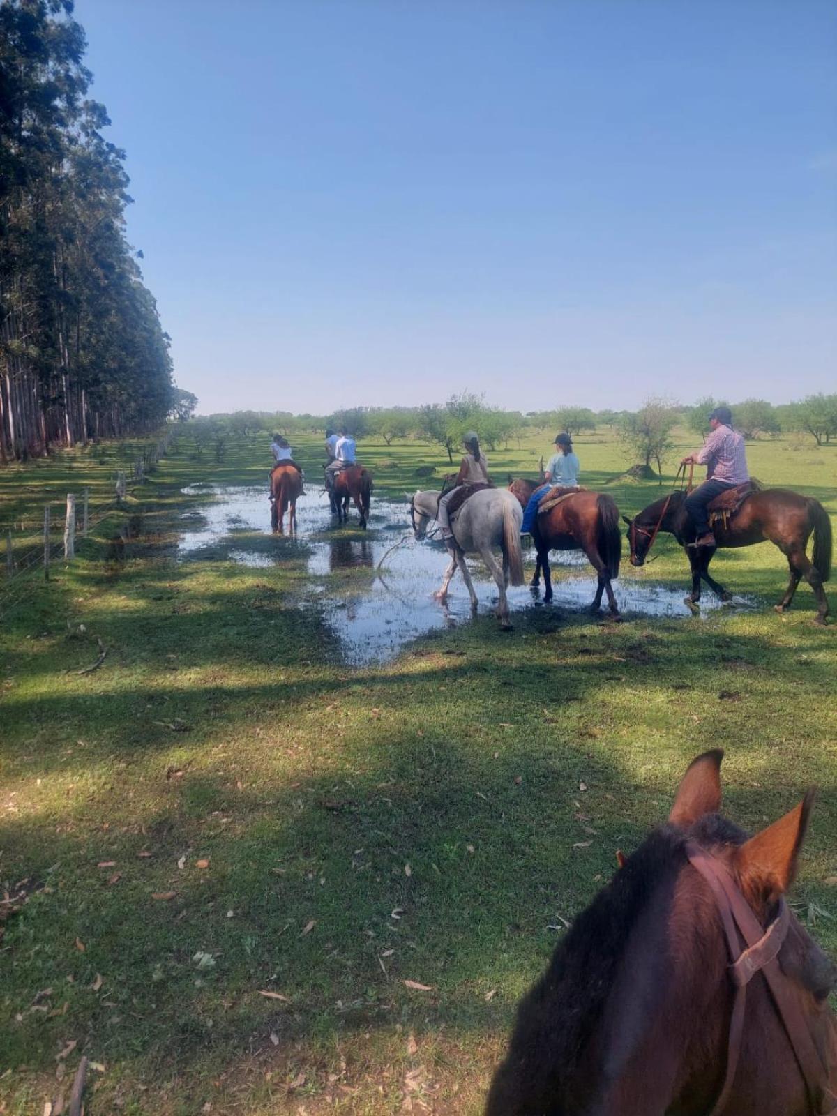 Estancia La violeta