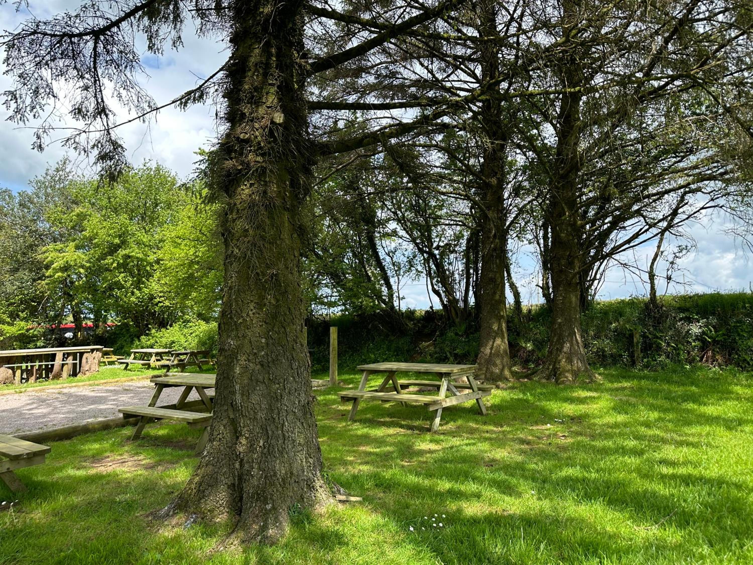 Pitch 1 - Rising Sun Inn Campsite view 3