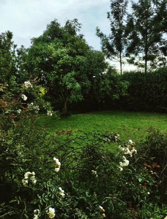 Lyn's country house