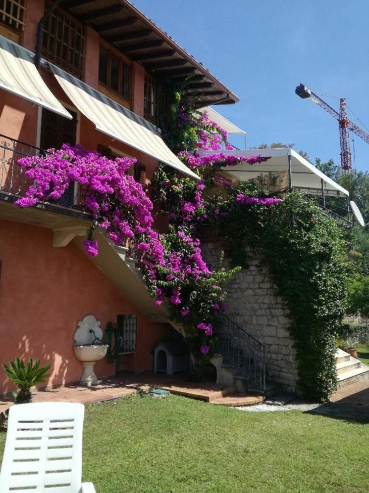 Photo 22