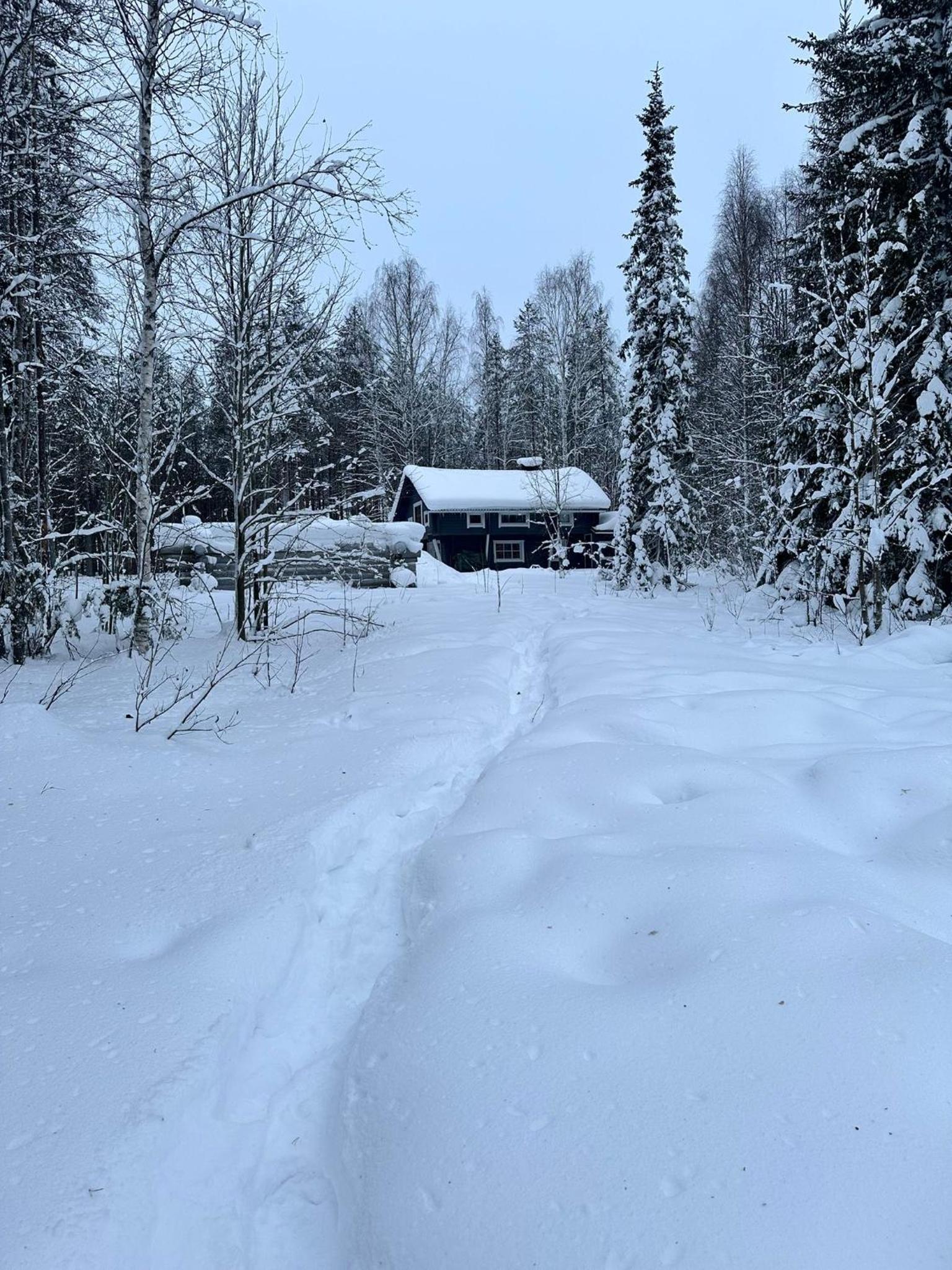 Lakeside Log Villa Edith