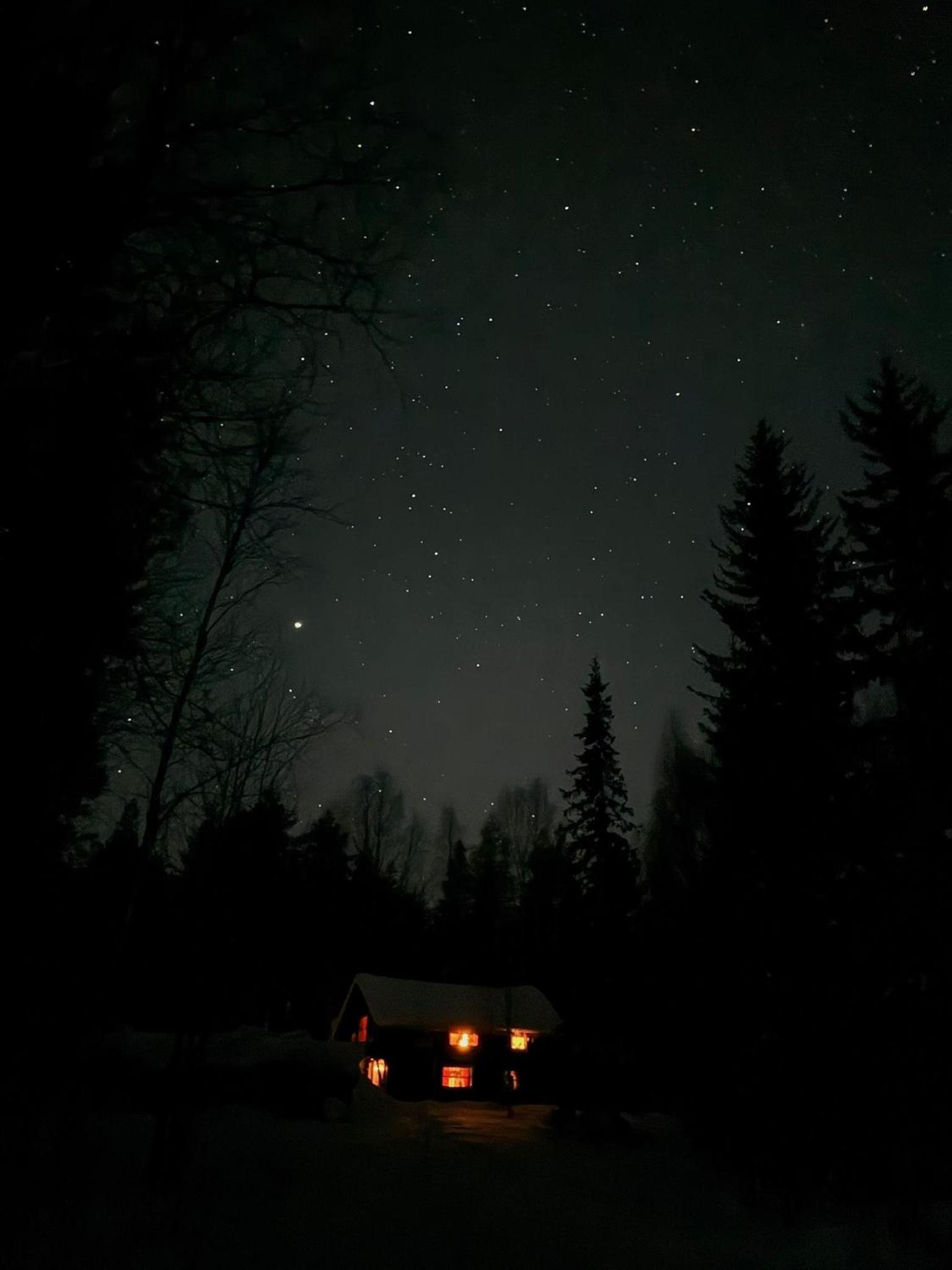 Lakeside Log Villa Edith
