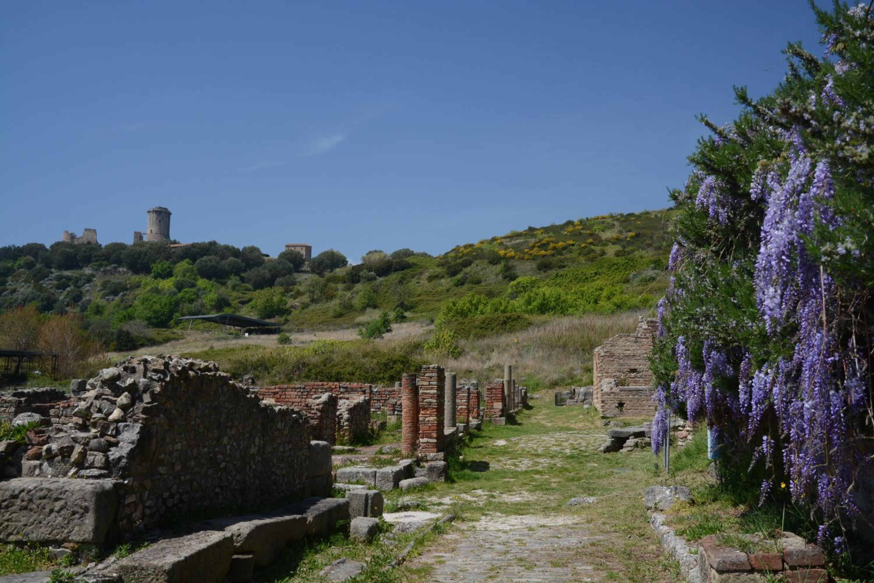 Agriturismo La Petrosa