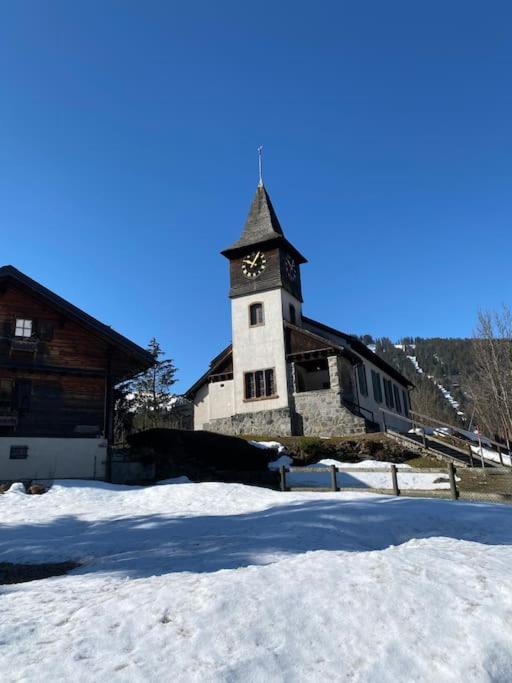 1 room apt, kitchen, patio, in beautiful chalet