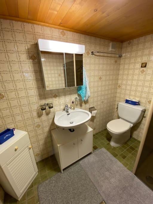 1 room apt, kitchen, patio, in beautiful chalet