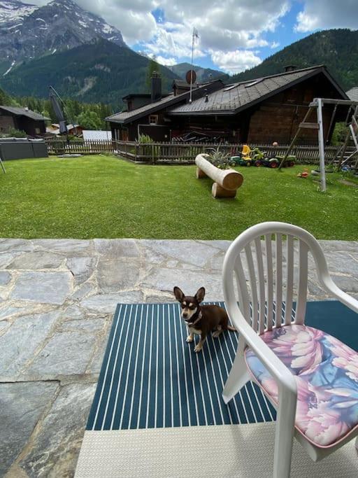 1 room apt, kitchen, patio, in beautiful chalet