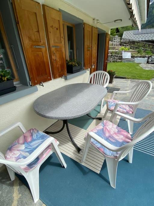 1 room apt, kitchen, patio, in beautiful chalet