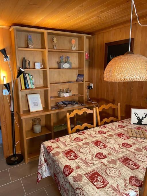 1 room apt, kitchen, patio, in beautiful chalet