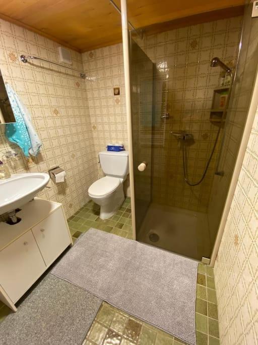 1 room apt, kitchen, patio, in beautiful chalet
