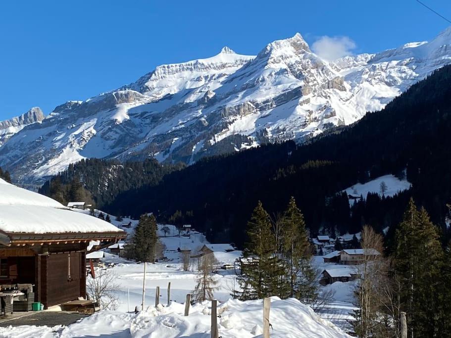 1 room apt, kitchen, patio, in beautiful chalet