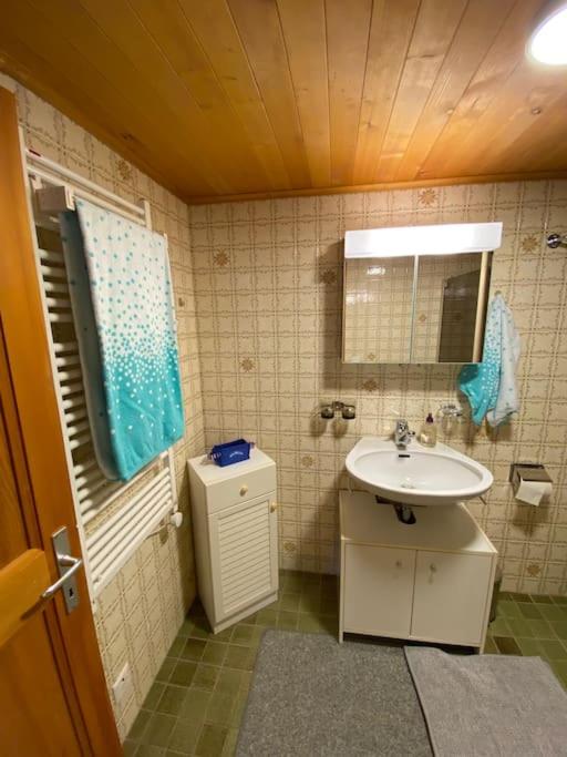 1 room apt, kitchen, patio, in beautiful chalet
