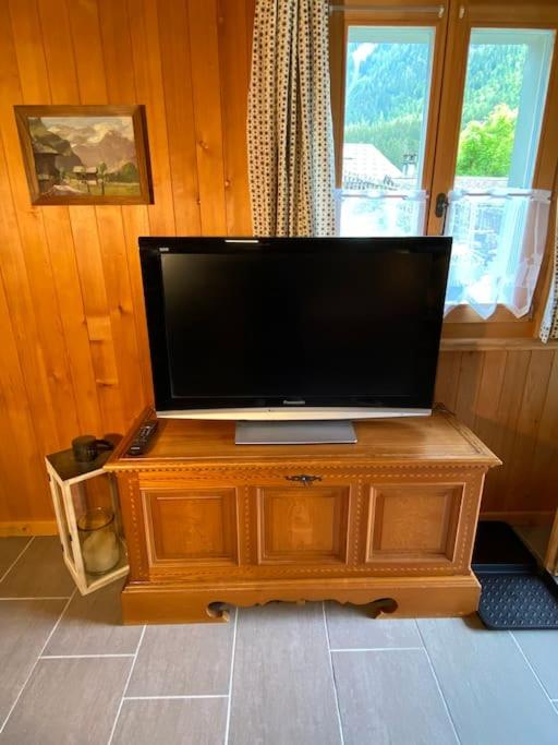 1 room apt, kitchen, patio, in beautiful chalet