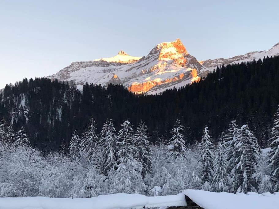 1 room apt, kitchen, patio, in beautiful chalet