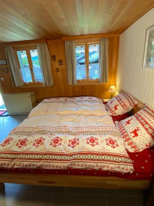 1 room apt, kitchen, patio, in beautiful chalet