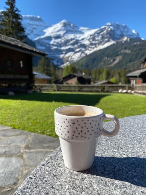 1 room apt, kitchen, patio, in beautiful chalet