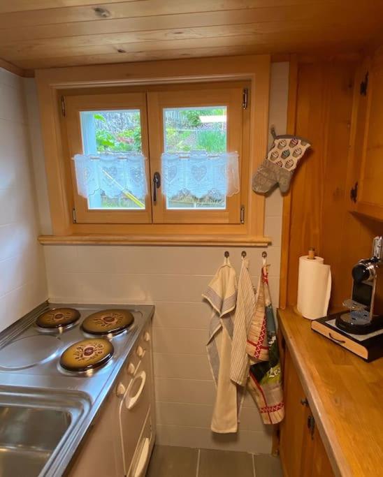 1 room apt, kitchen, patio, in beautiful chalet