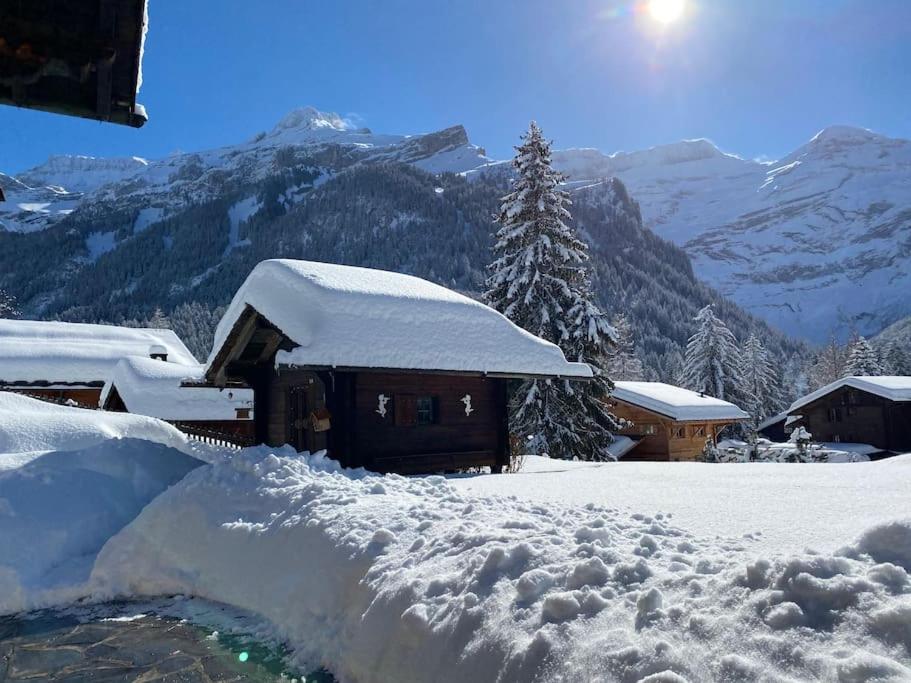 1 room apt, kitchen, patio, in beautiful chalet