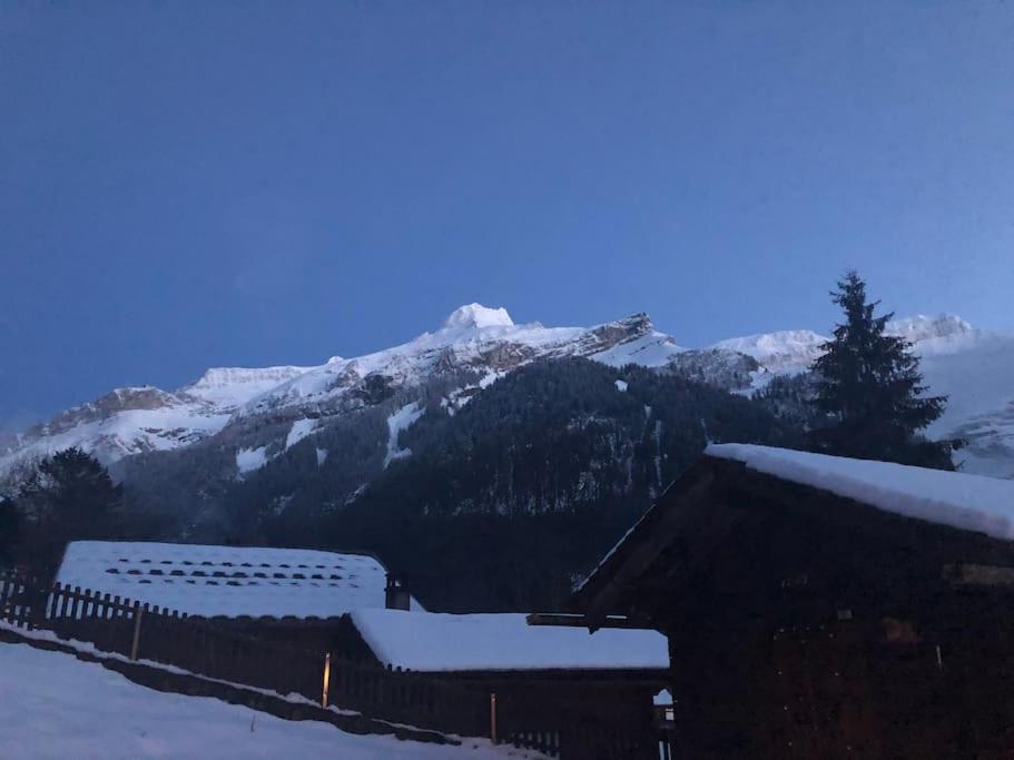 1 room apt, kitchen, patio, in beautiful chalet
