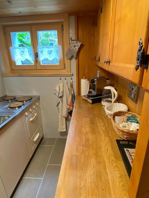 1 room apt, kitchen, patio, in beautiful chalet