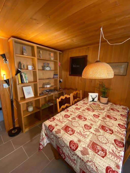 1 room apt, kitchen, patio, in beautiful chalet