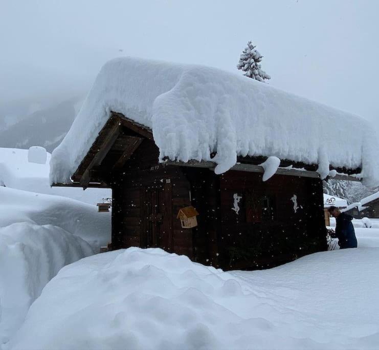 1 room apt, kitchen, patio, in beautiful chalet