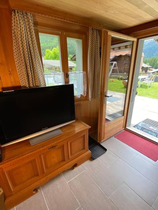 1 room apt, kitchen, patio, in beautiful chalet