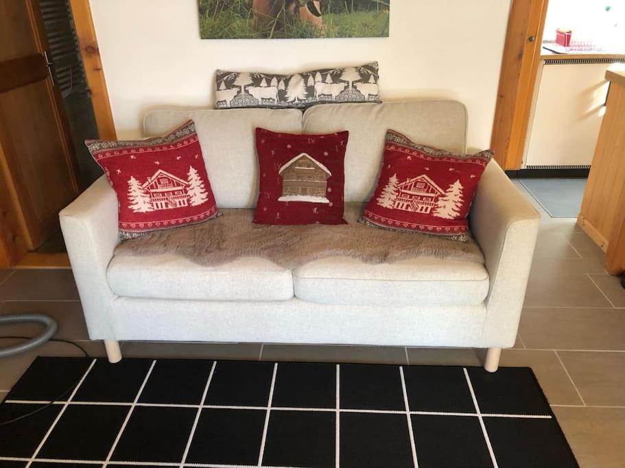 1 room apt, kitchen, patio, in beautiful chalet