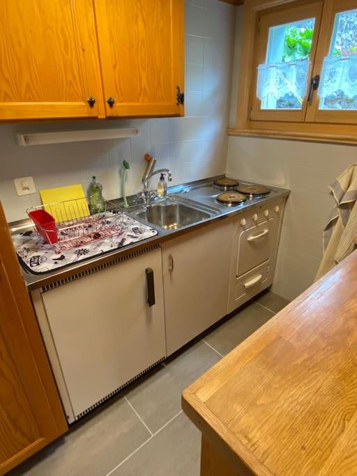 1 room apt, kitchen, patio, in beautiful chalet