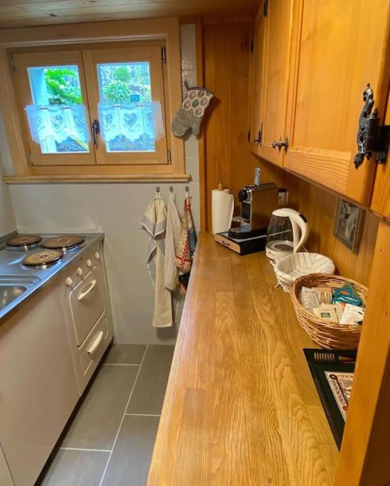 1 room apt, kitchen, patio, in beautiful chalet