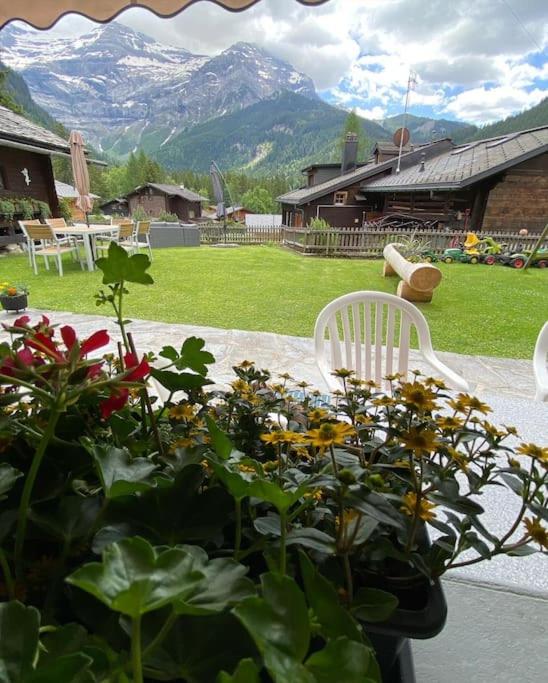 1 room apt, kitchen, patio, in beautiful chalet