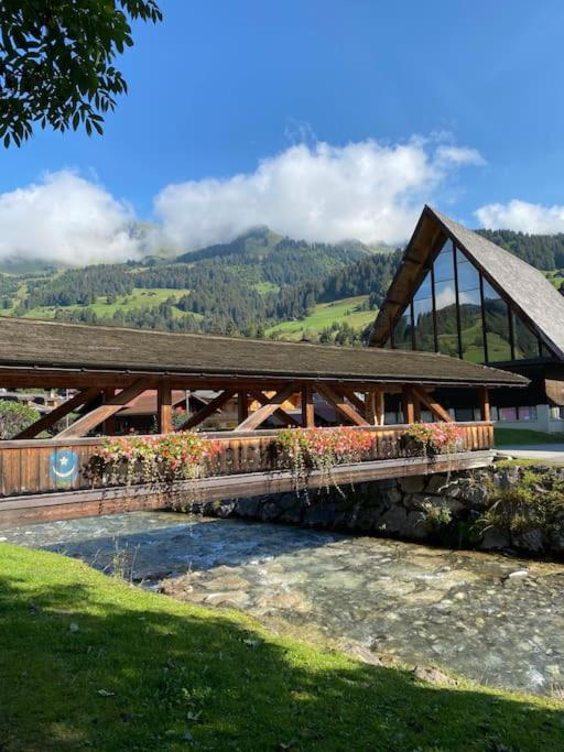 1 room apt, kitchen, patio, in beautiful chalet