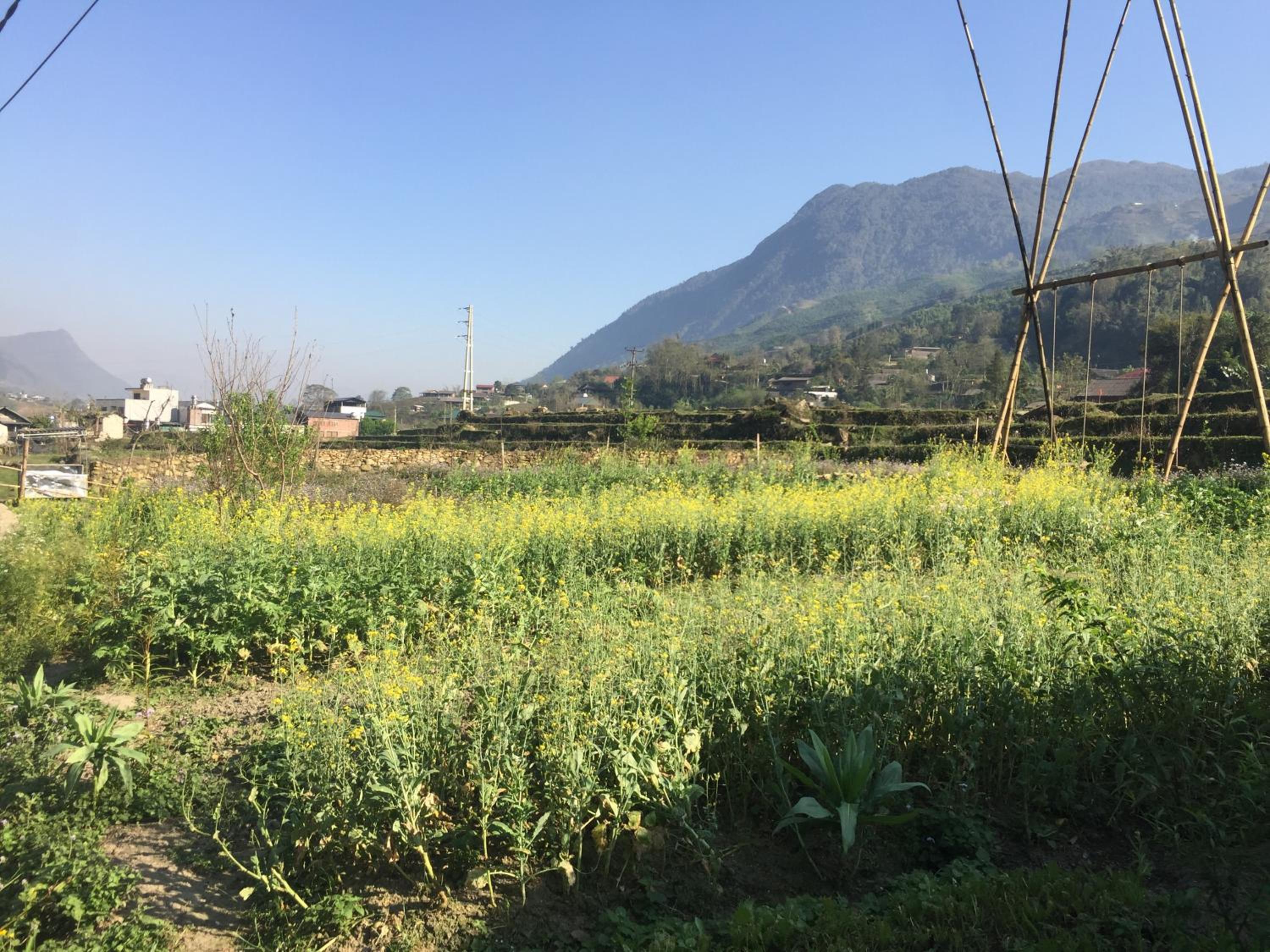 Photo 46
