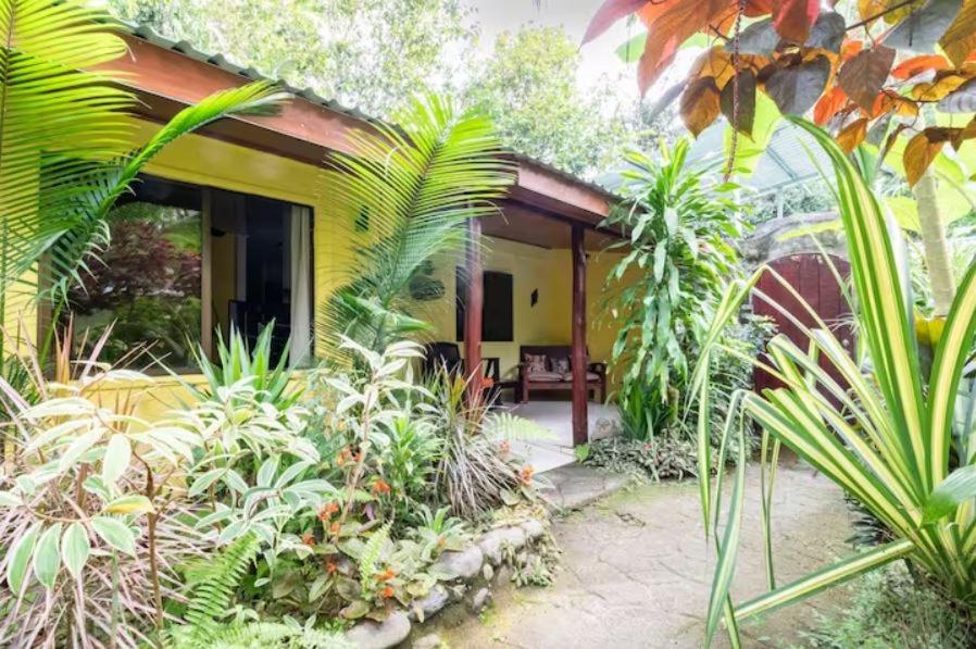 Casa Caribbean Coconut