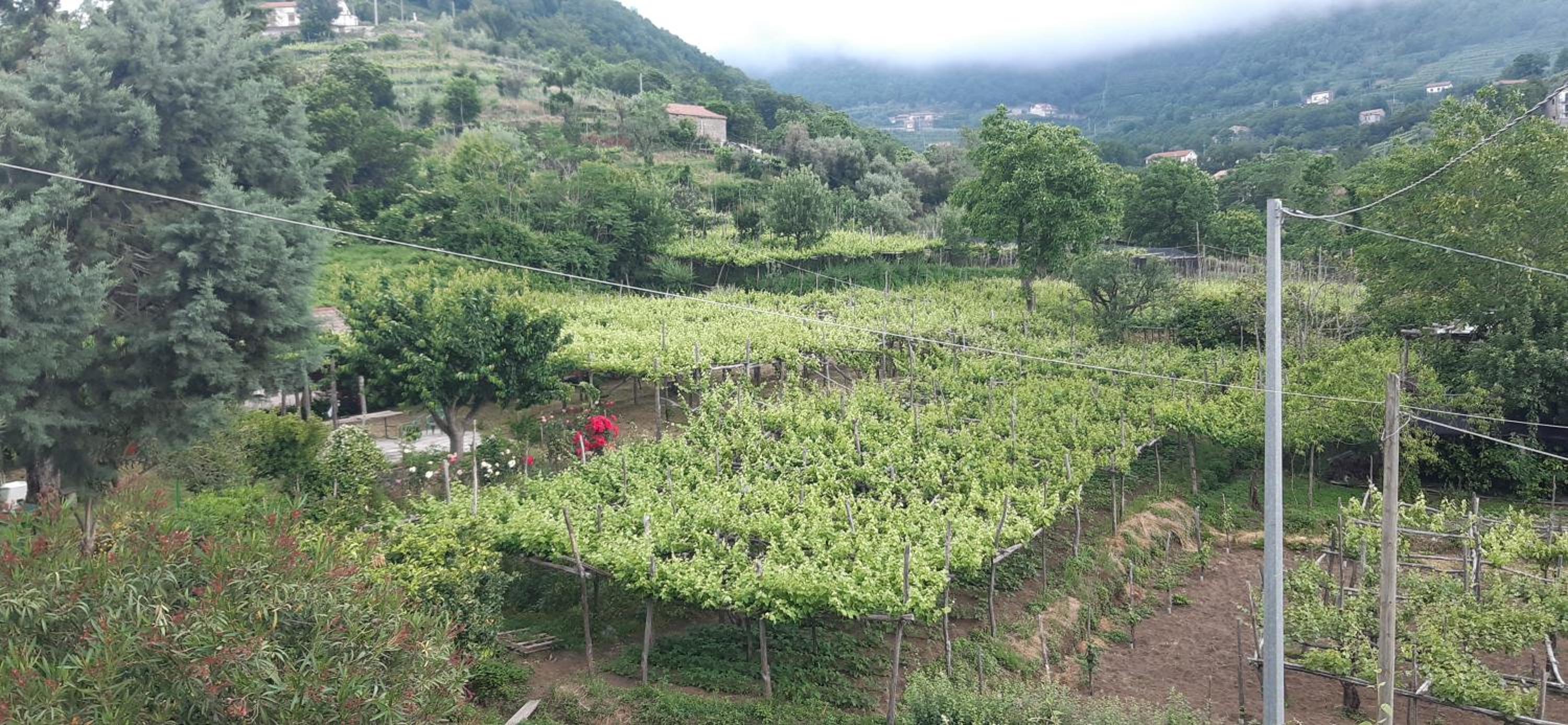 Agriturismo Mare e Monti